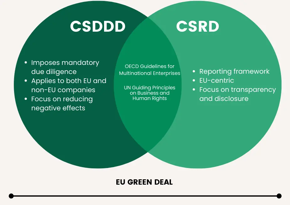 CSDDD vs. CSRD