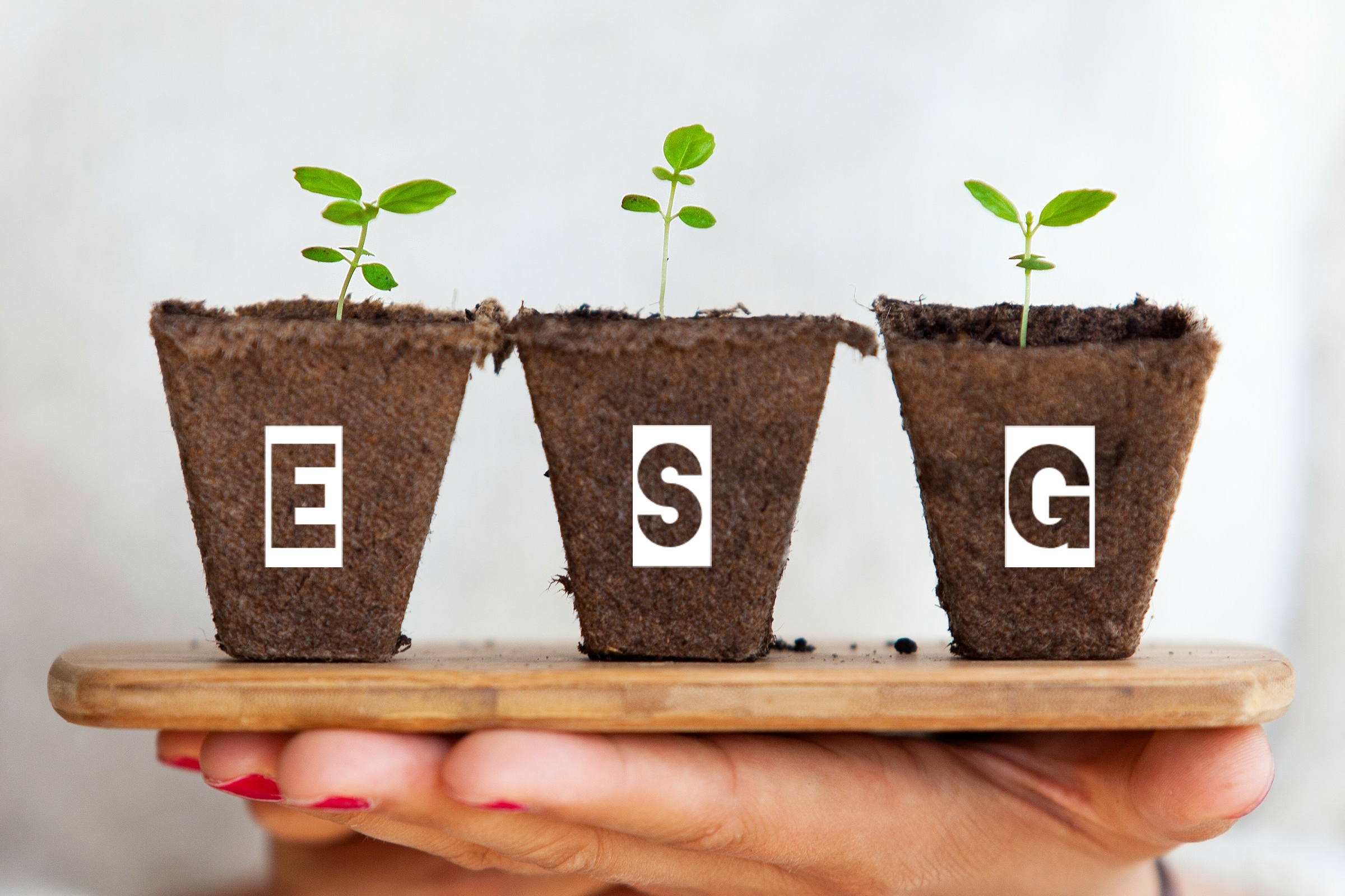 ESG kritériumok megértése az alapoktól a haladó stratégiákig
